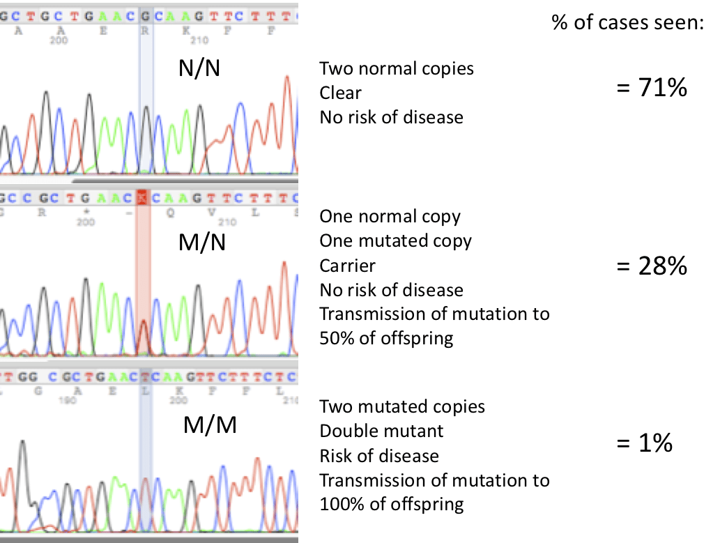 Exercise Induced Collapse (EIC) Laboratoire de génétique vétérinaire